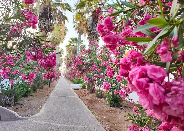 Atico En Parque Santiago I